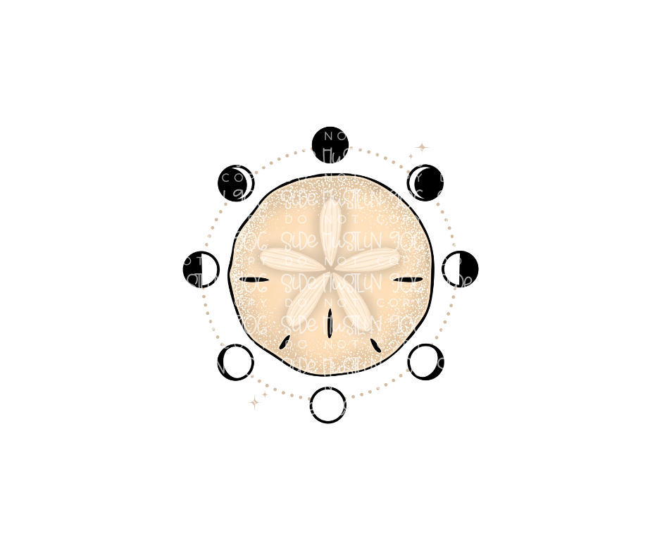 Sand Dollar-Ready to Press Transfer