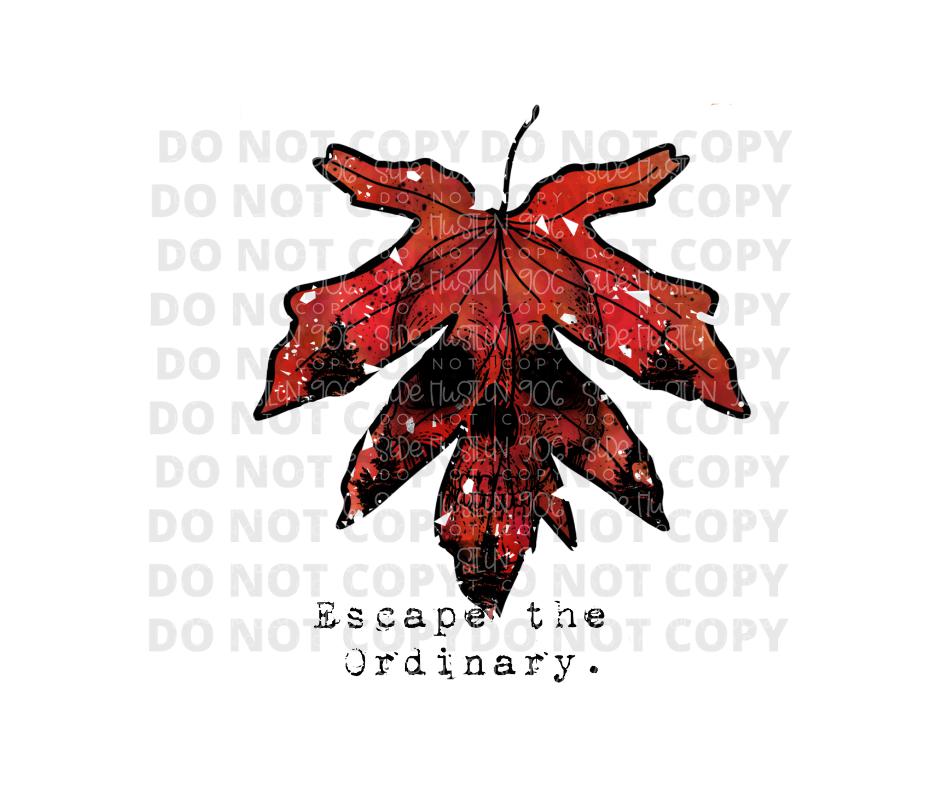 Escape the Ordinary-Ready to Press Transfer