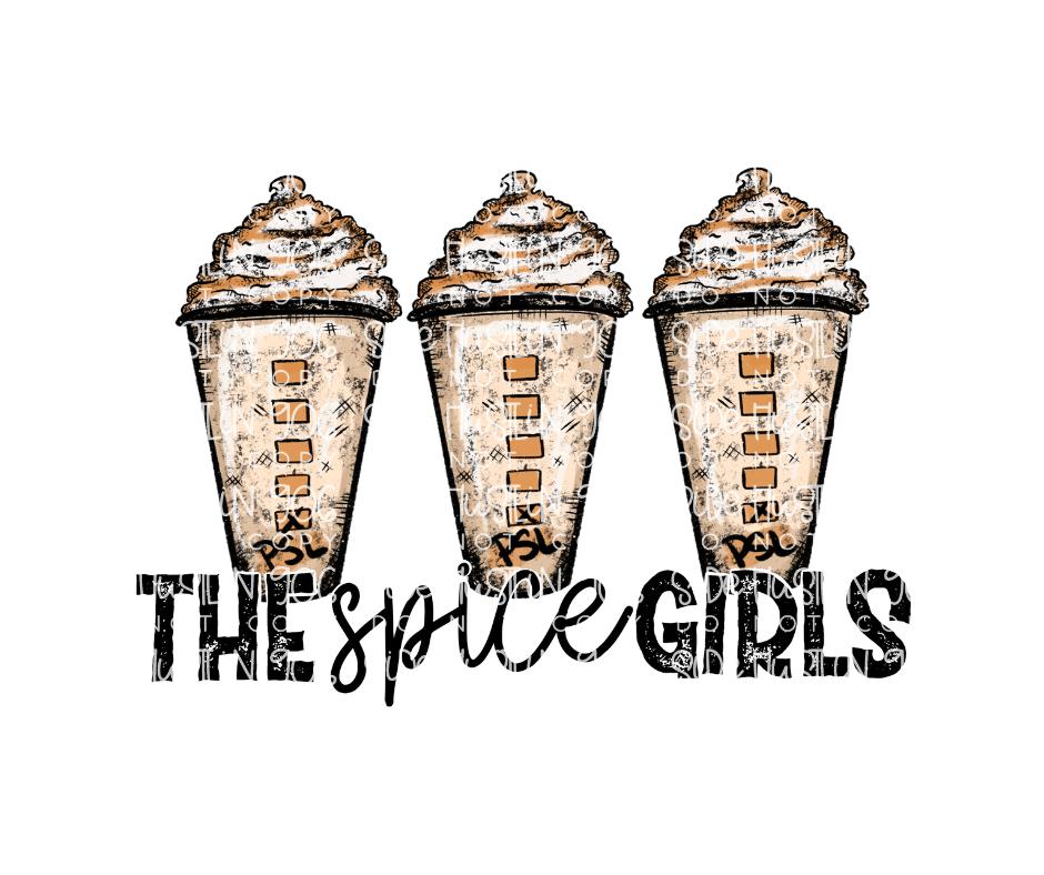 The Spice Girls psl-Ready to Press Transfer