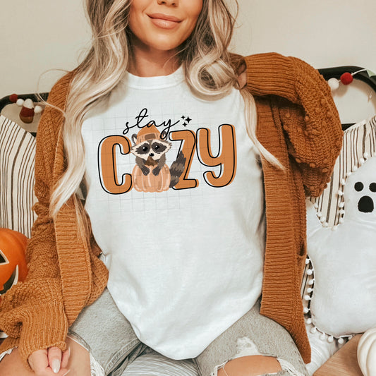 Stay Cozy Racoon-Ready to Press Transfer