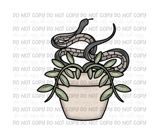 Snake plant-Ready to Press Transfer