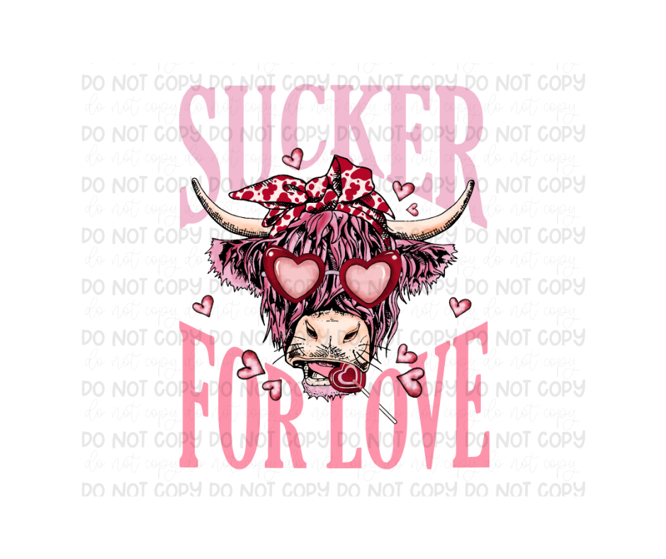 Sucker for Love cow-Ready to Press Transfer