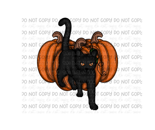 Cat & Pumpkin no words-Ready to Press Transfer