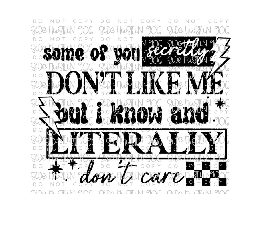 You don't Like me & I don't care -Ready to Press Transfer