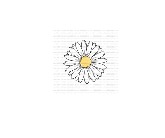 Daisy -Ready to Press Transfer