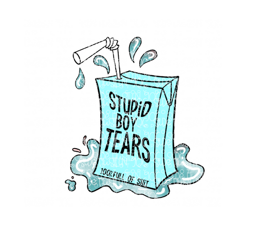 Stupid Boy Tears-Ready to Press Transfer
