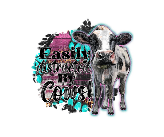 Easily distracted by Cows-Ready to Press Transfer