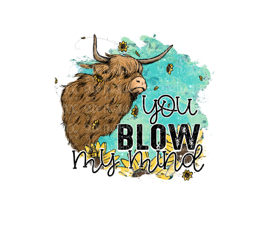 You blow My Mind-Ready to Press Transfer